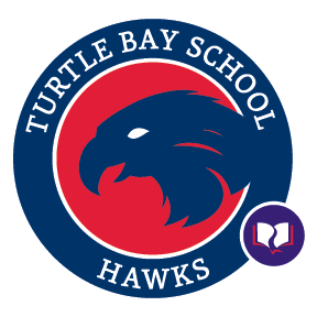 Turtle Bay Elementary School Modernization